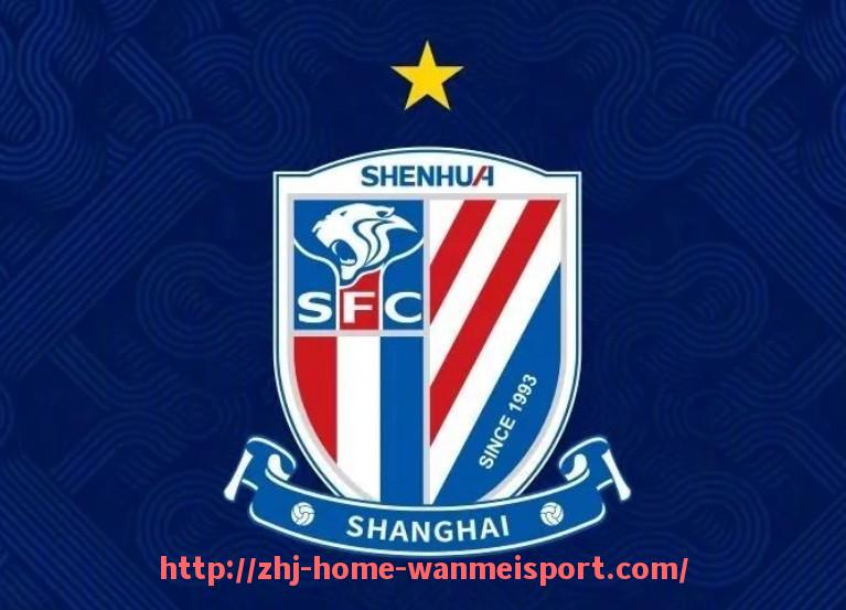 完美体育官方网站-德甲历年来获得冠军的球队数量统计及比较