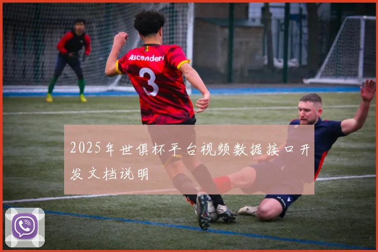 2025年世俱杯平台视频数据接口开发文档说明