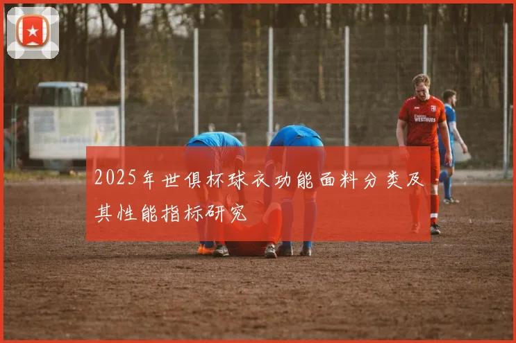 2025年世俱杯球衣功能面料分类及其性能指标研究