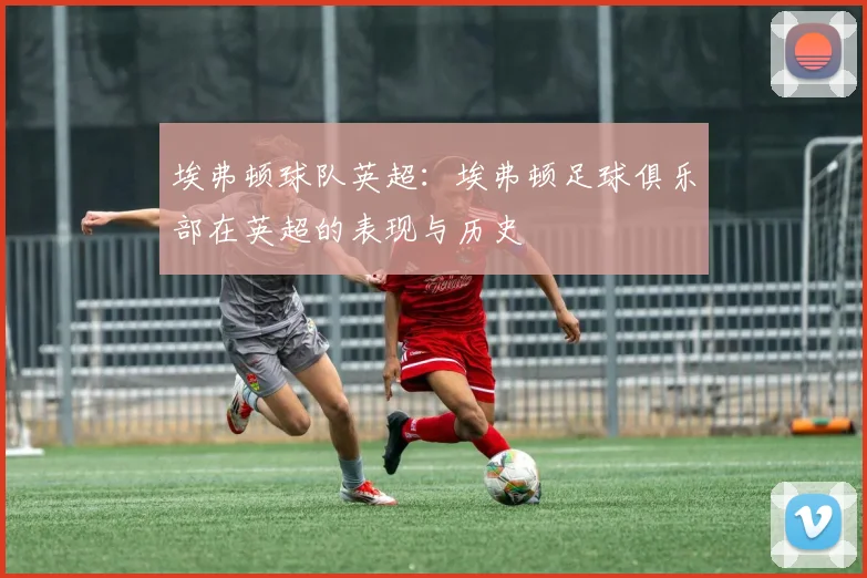 埃弗顿球队英超:埃弗顿足球俱乐部在英超的表现与历史