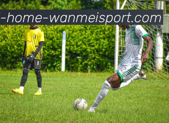 完美体育平台生态图